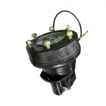Rexroth GFT17T31332-7020 Hydraulic Final Drive Motor