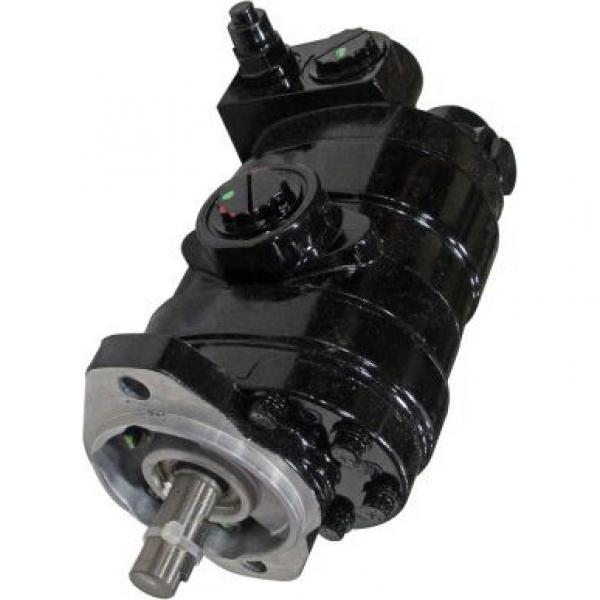 Gleaner 71412497 Reman Hydraulic Final Drive Motor #1 image